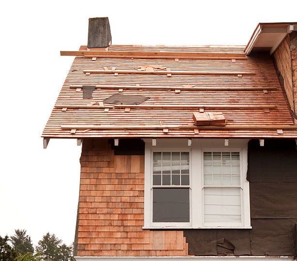 New London, MN Siding Installation & Repair Company